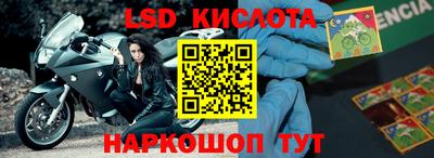 прущие грибы Кунгур
