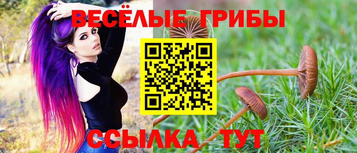 Псилоцибиновые грибы MAGIC MUSHROOMS  Вход с VPN  Галлюциногенные грибы MAGIC MUSHROOMS  Кимры 