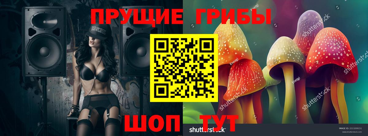 Псилоцибиновые грибы Psilocybe Кимры